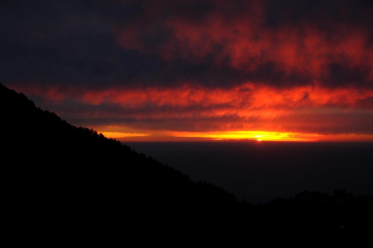 Ostello Mitra Mcleodganj McLeod Ganj Esterno foto